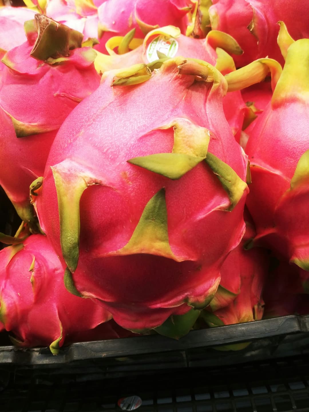 Fresh Fruits