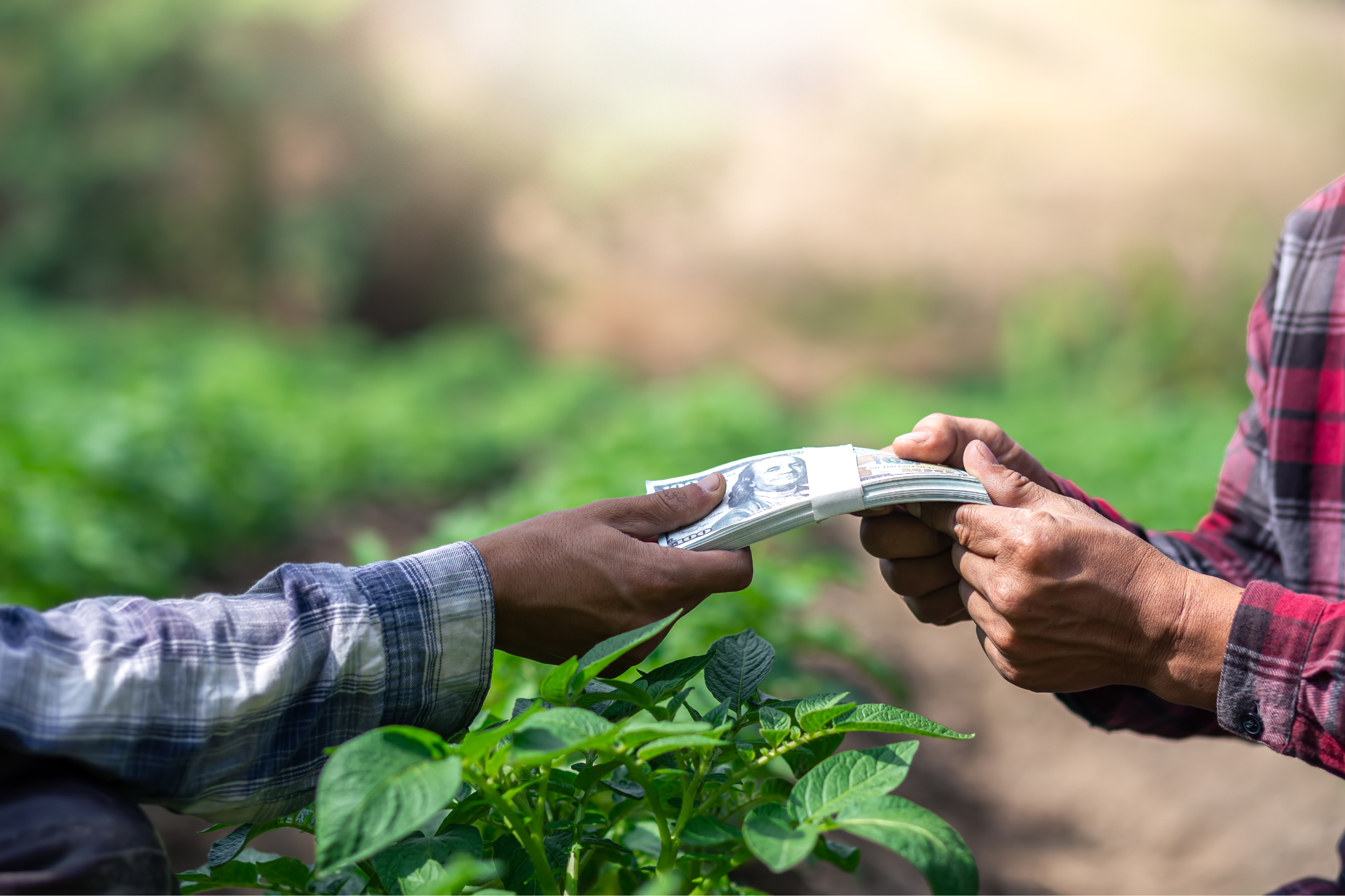 Secure Payment Image